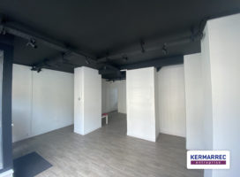 achat Local Commercial 55 m² Rennes 35