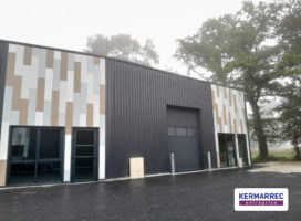 achat Local d'activité 1100.00 m² Pleumeleuc 35