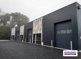 achat Local d'activité 1100.00 m² Pleumeleuc 35