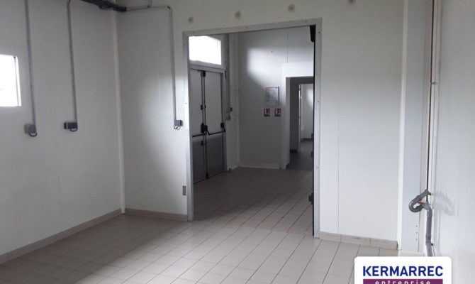 location Local d'activité 800.00 m²